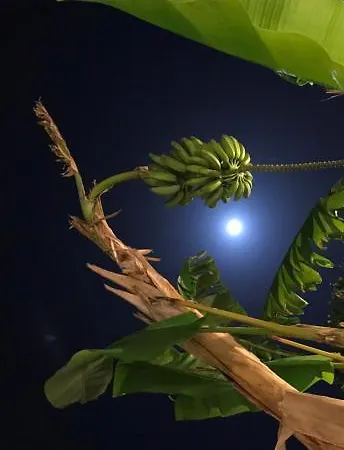 Szálloda Riviera Bleu 3*