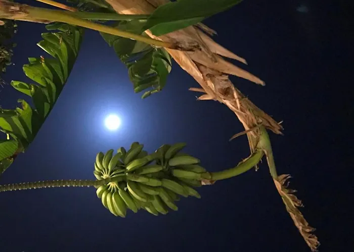 Hotel Riviera Bleu 3*